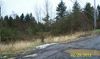 10411 SW Barbur Boulevard photo